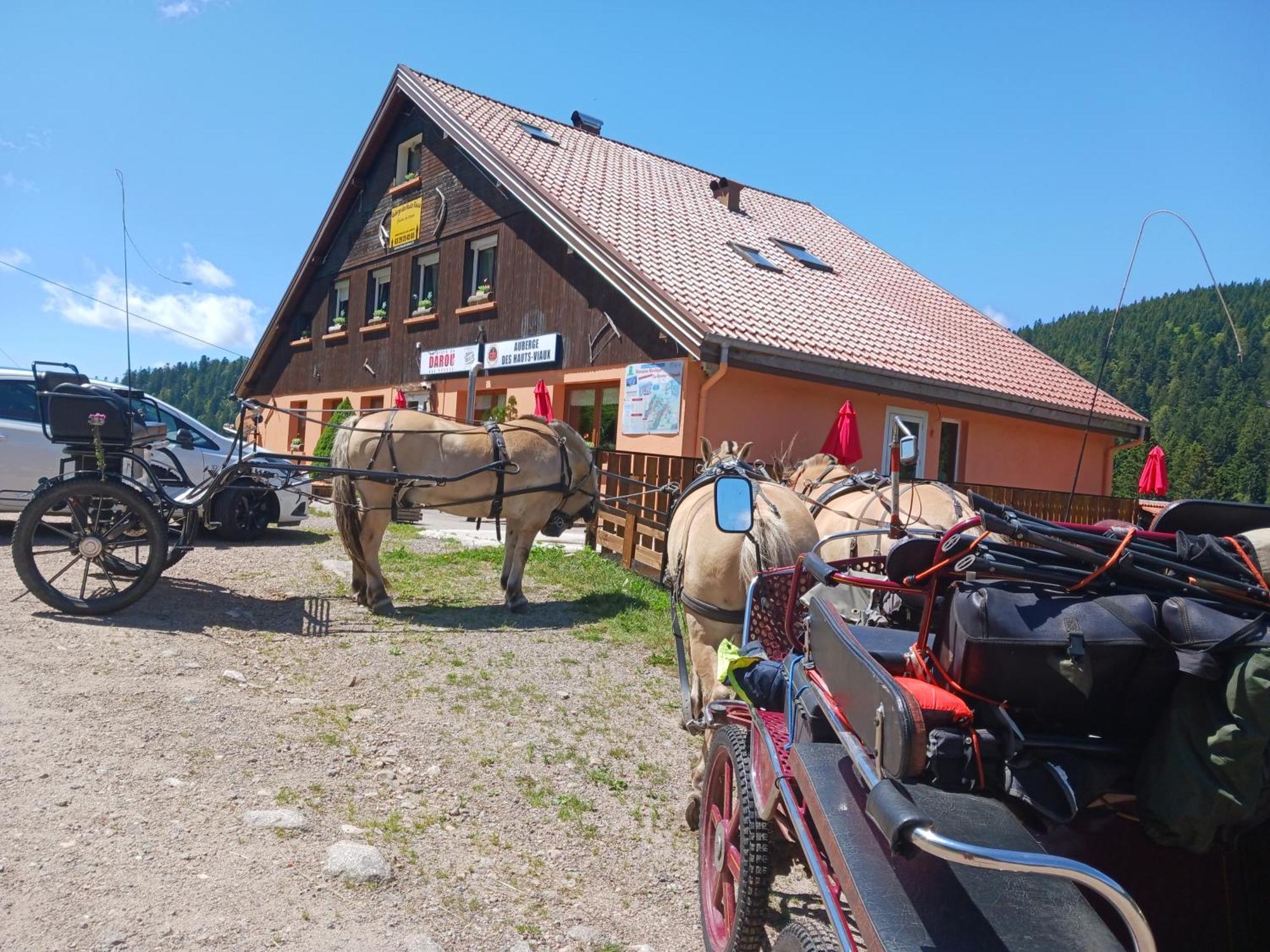 Domaine Des Hauts Viaux La Bresse Dış mekan fotoğraf