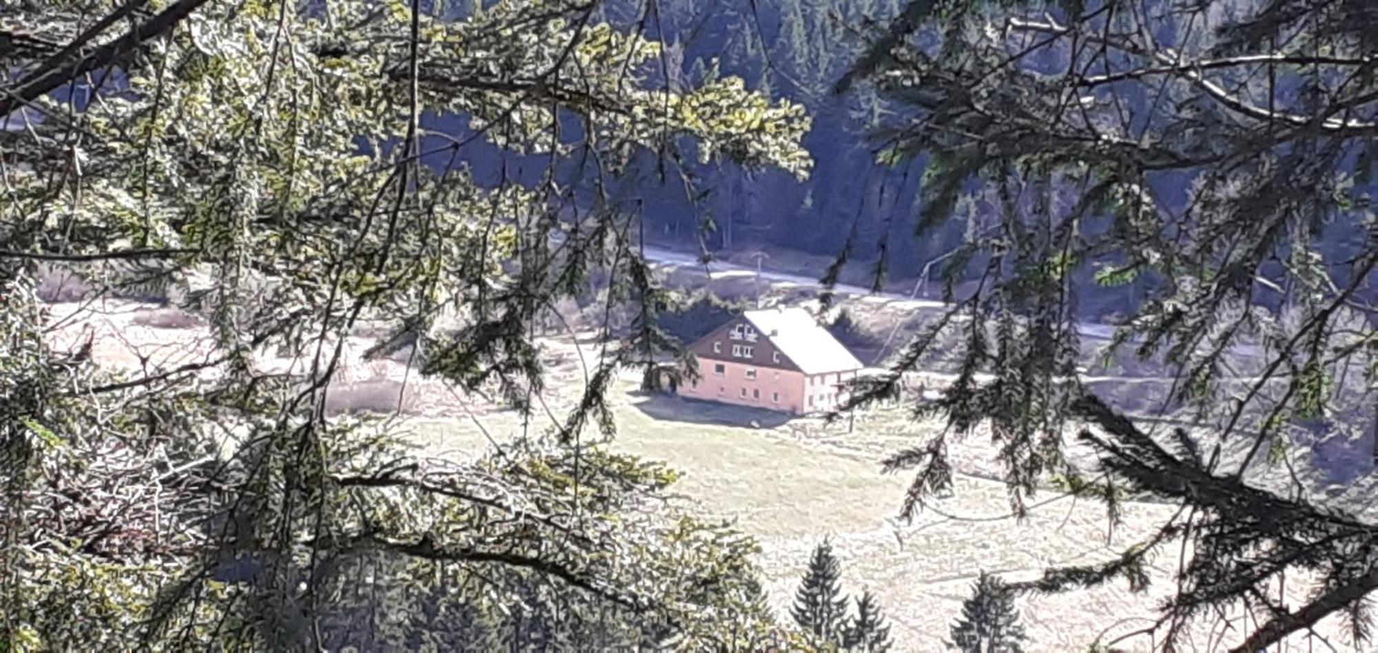 Domaine Des Hauts Viaux La Bresse Dış mekan fotoğraf