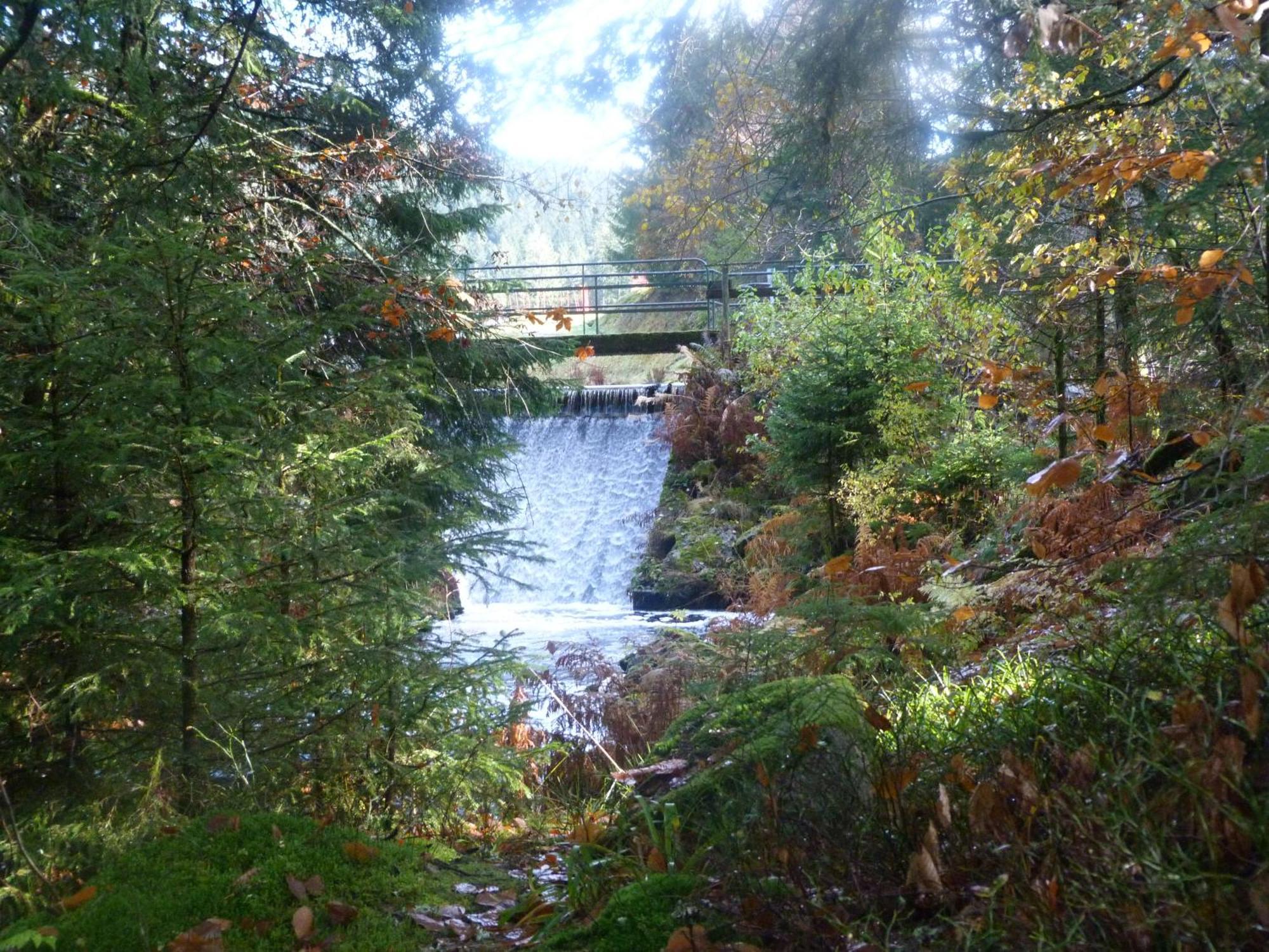 Domaine Des Hauts Viaux La Bresse Dış mekan fotoğraf