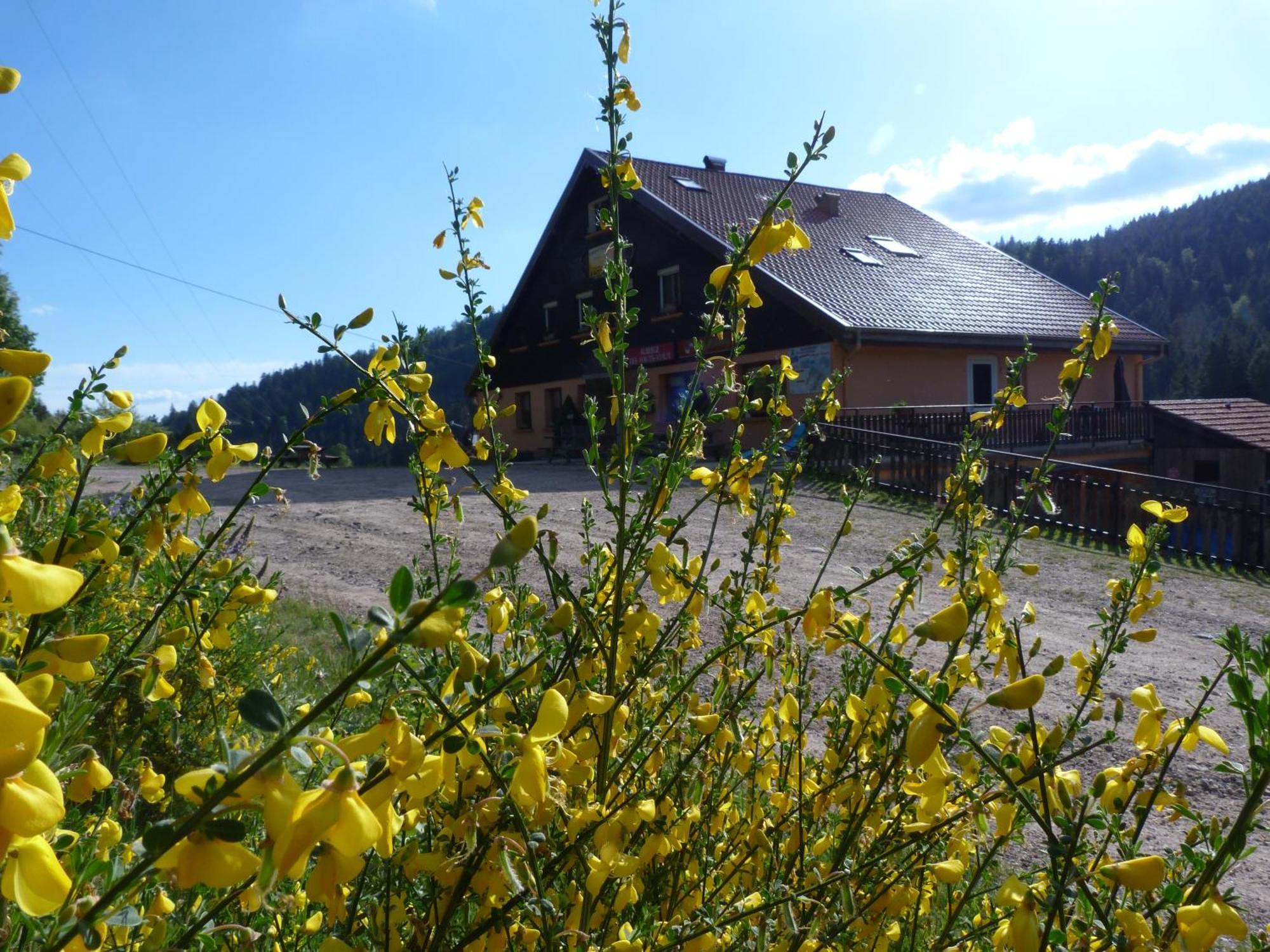 Domaine Des Hauts Viaux La Bresse Dış mekan fotoğraf