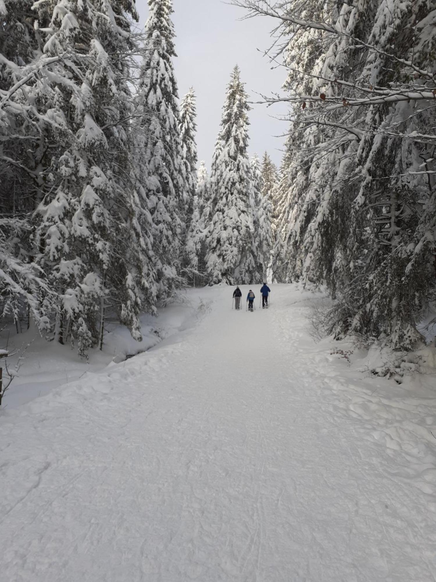 Domaine Des Hauts Viaux La Bresse Dış mekan fotoğraf