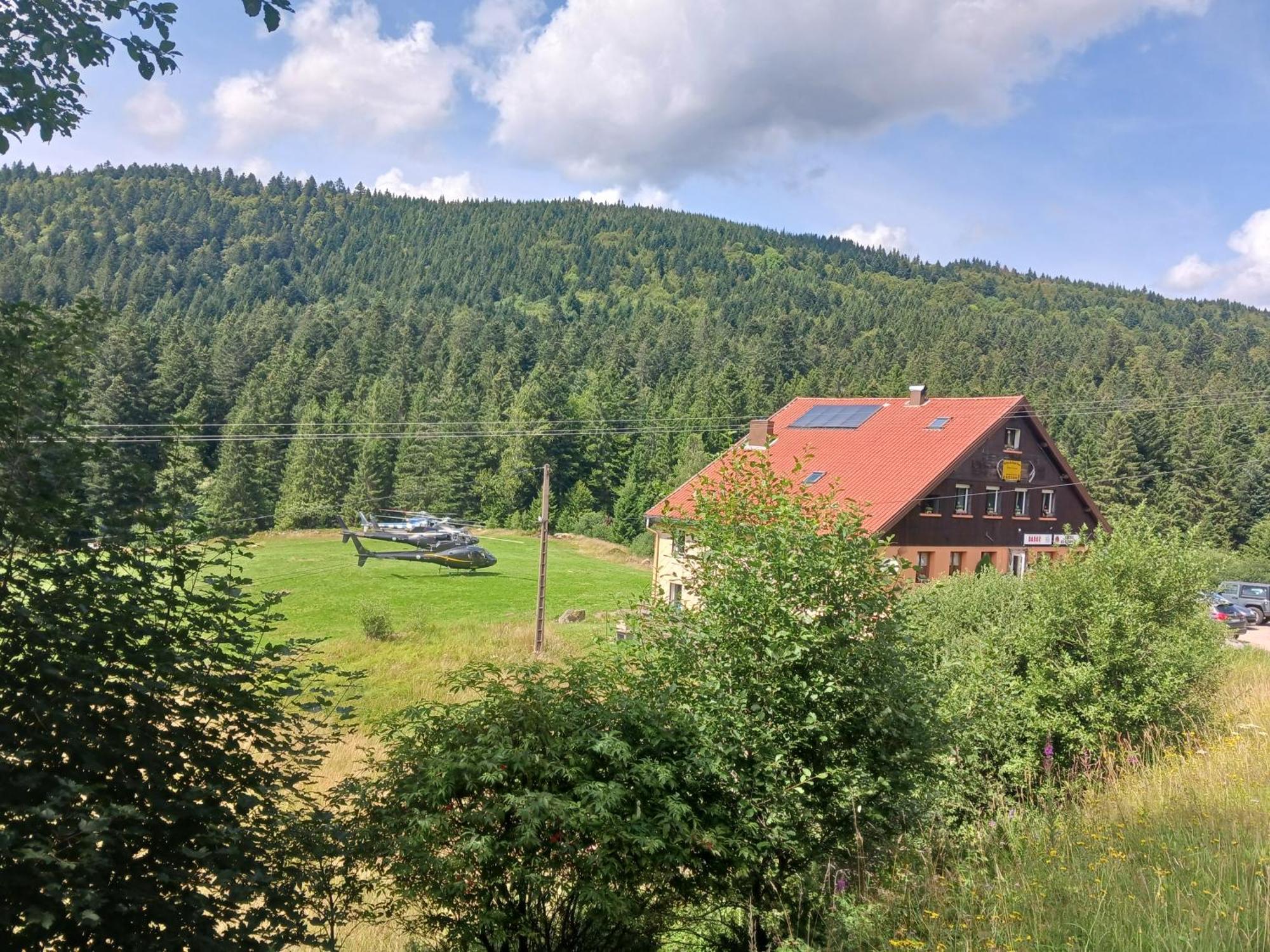 Domaine Des Hauts Viaux La Bresse Dış mekan fotoğraf