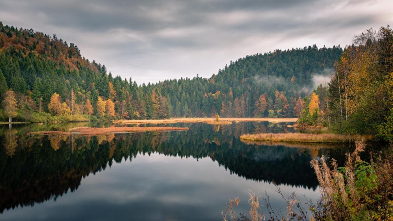 Domaine Des Hauts Viaux La Bresse Dış mekan fotoğraf