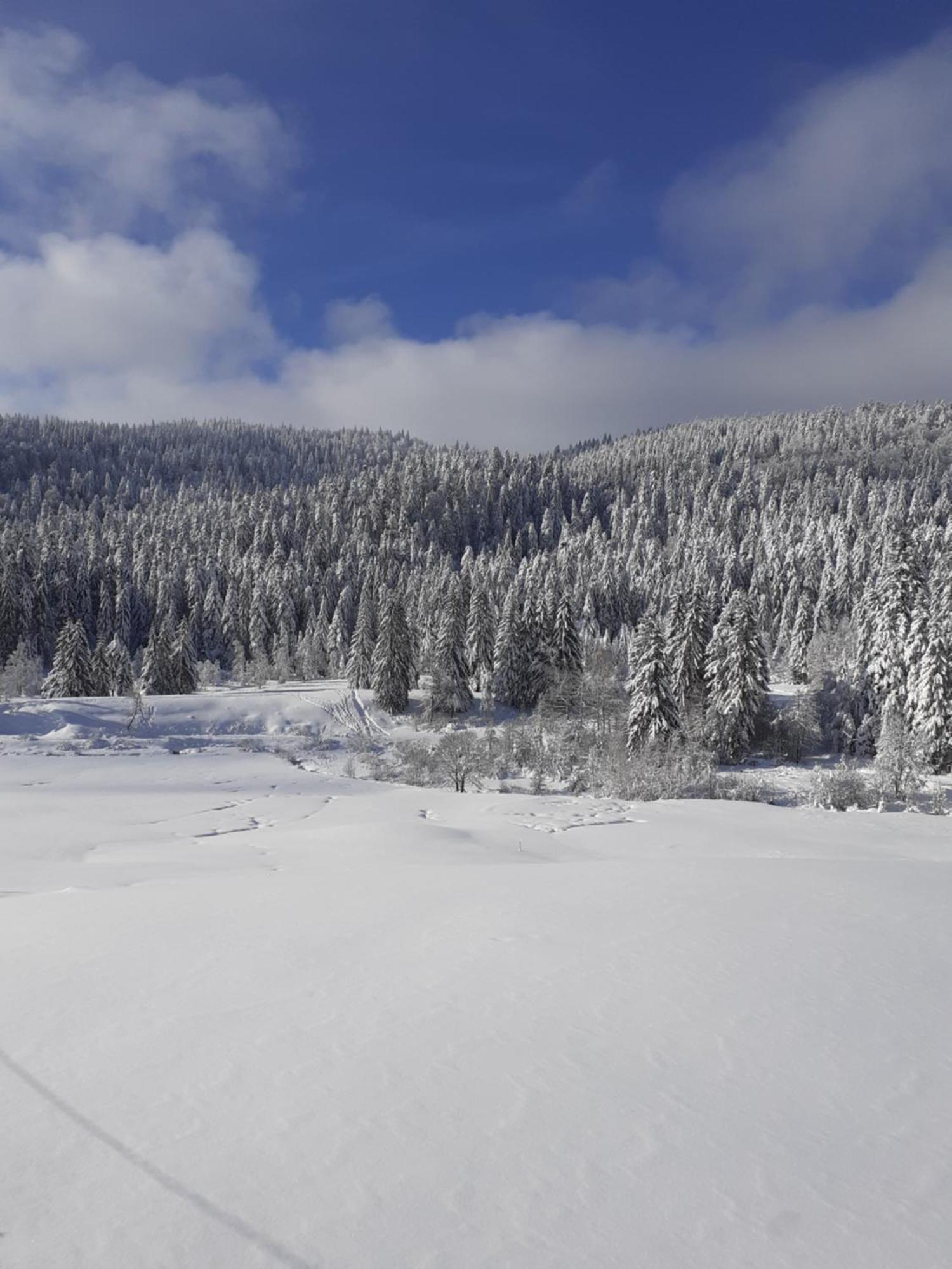 Domaine Des Hauts Viaux La Bresse Dış mekan fotoğraf