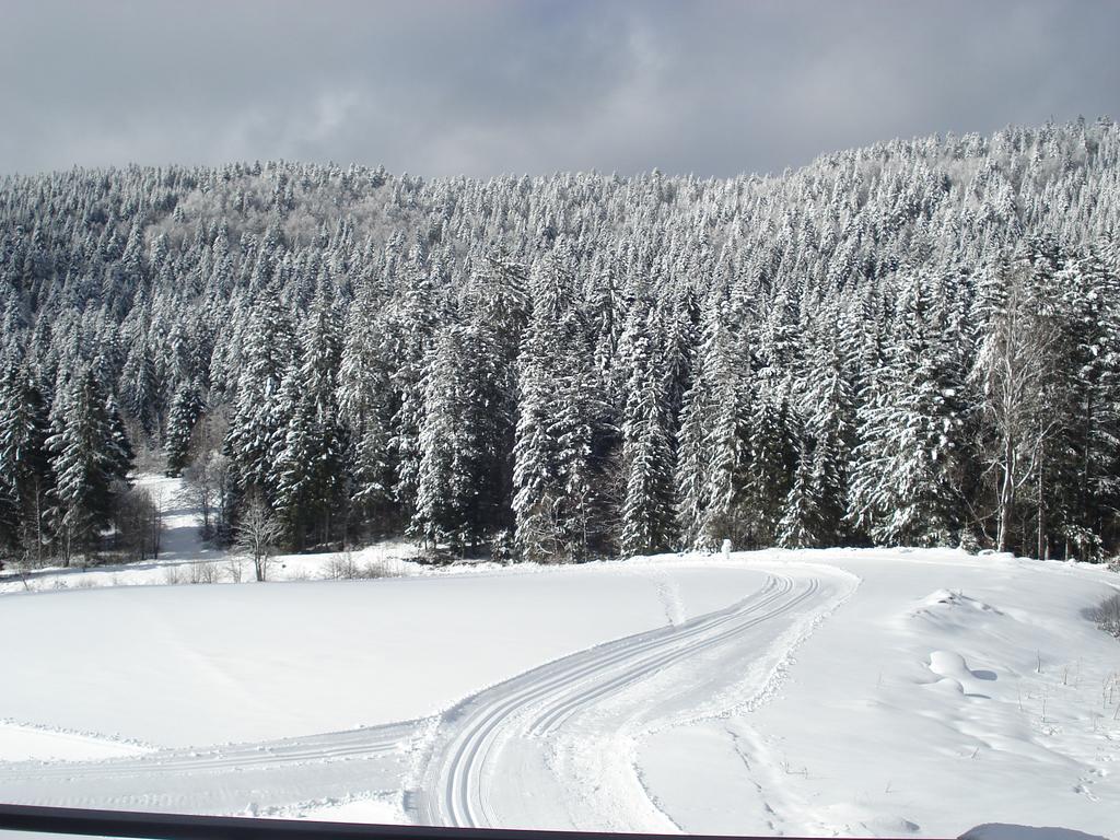 Domaine Des Hauts Viaux La Bresse Dış mekan fotoğraf
