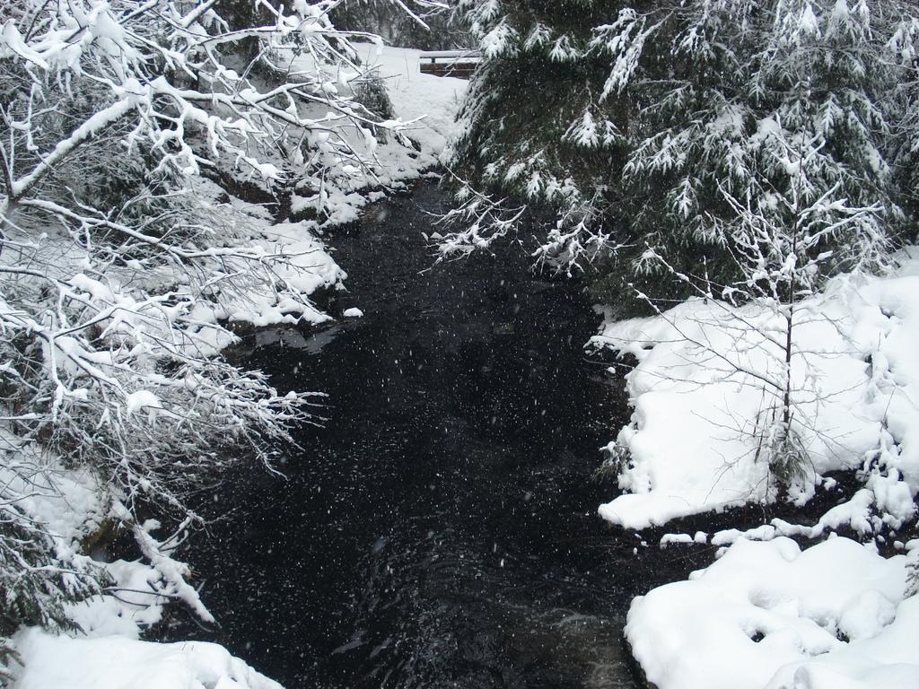 Domaine Des Hauts Viaux La Bresse Dış mekan fotoğraf