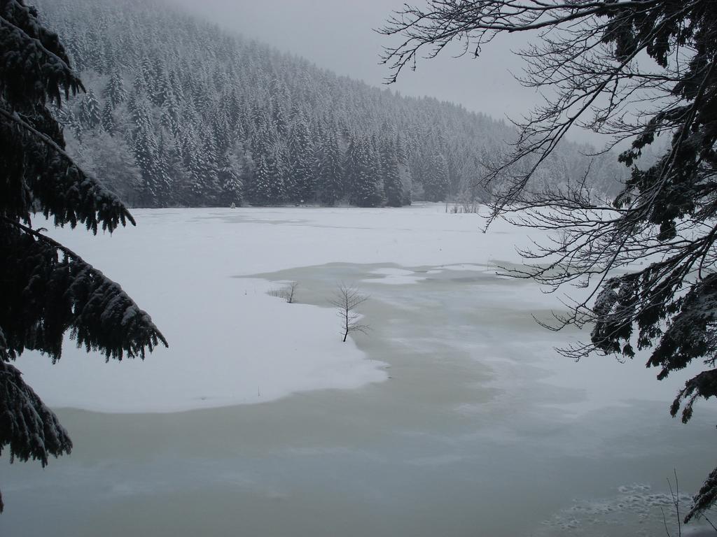 Domaine Des Hauts Viaux La Bresse Dış mekan fotoğraf