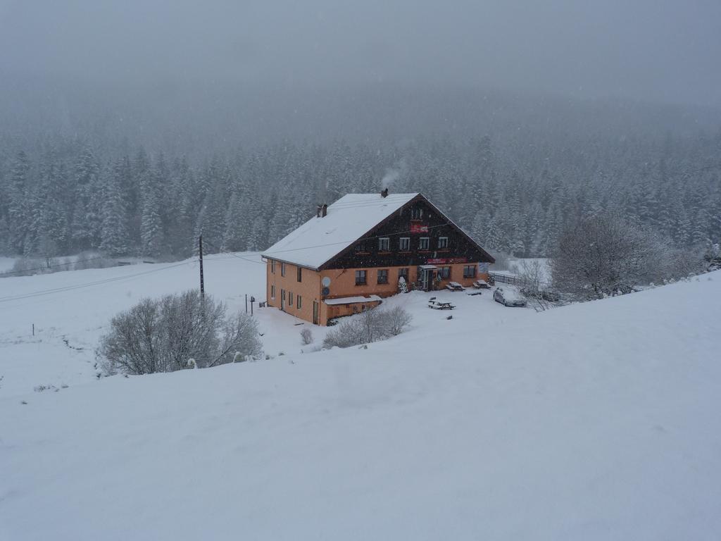 Domaine Des Hauts Viaux La Bresse Dış mekan fotoğraf