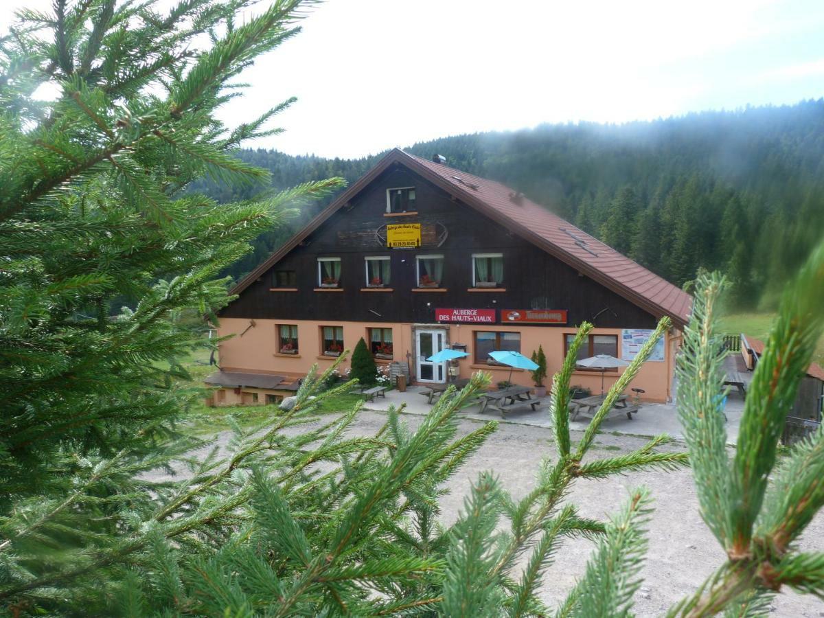 Domaine Des Hauts Viaux La Bresse Dış mekan fotoğraf