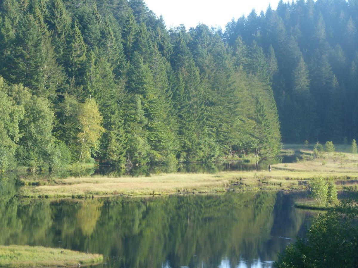 Domaine Des Hauts Viaux La Bresse Dış mekan fotoğraf
