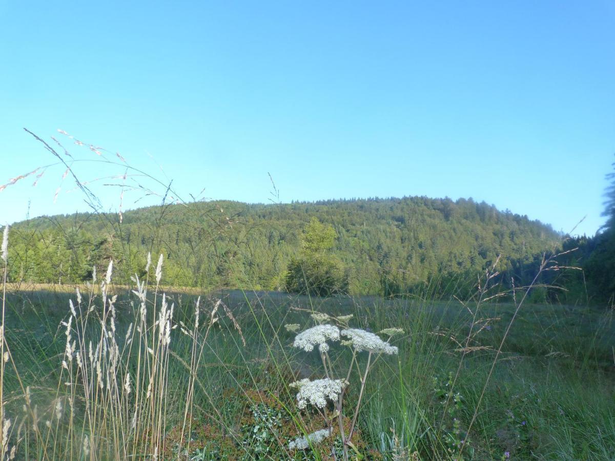 Domaine Des Hauts Viaux La Bresse Dış mekan fotoğraf