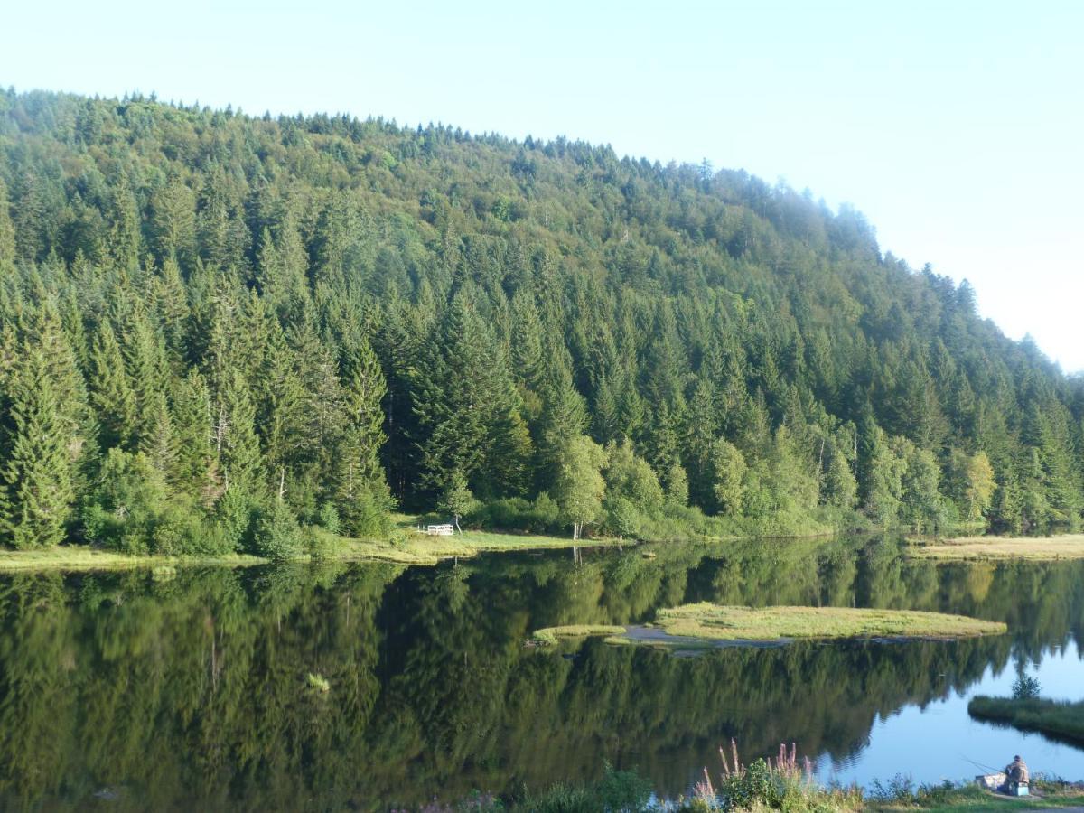 Domaine Des Hauts Viaux La Bresse Dış mekan fotoğraf