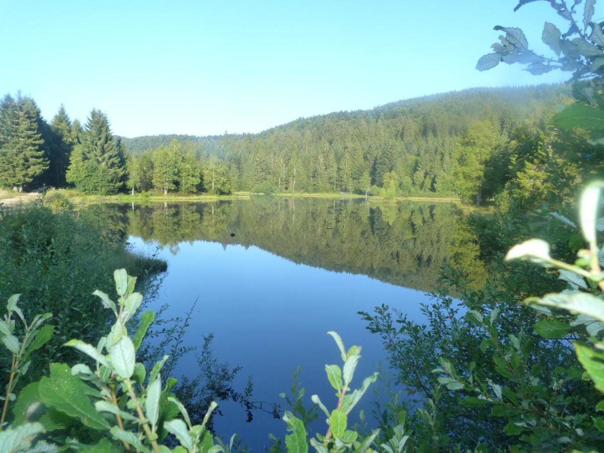 Domaine Des Hauts Viaux La Bresse Dış mekan fotoğraf